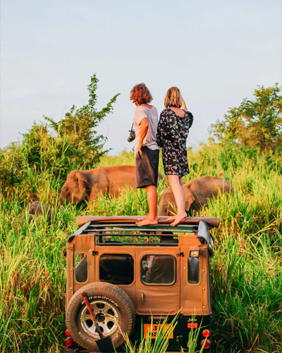 Safari Jeep Tour